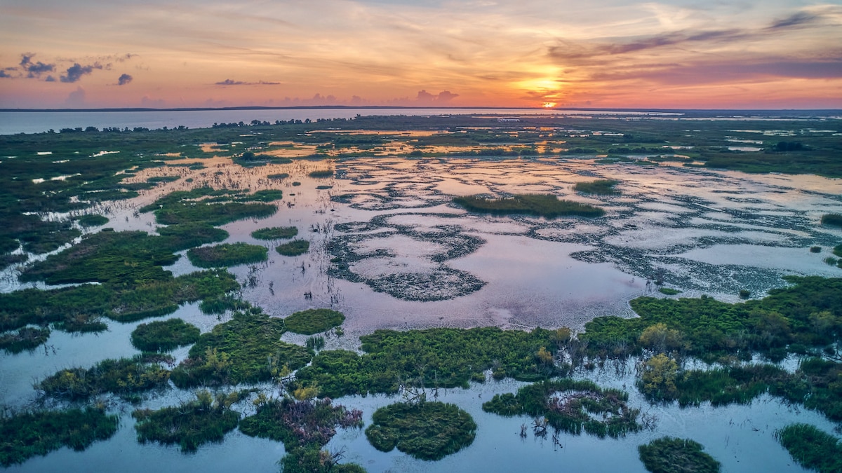 Where to find some of the wildest rides and thrills in Orlando, Florida