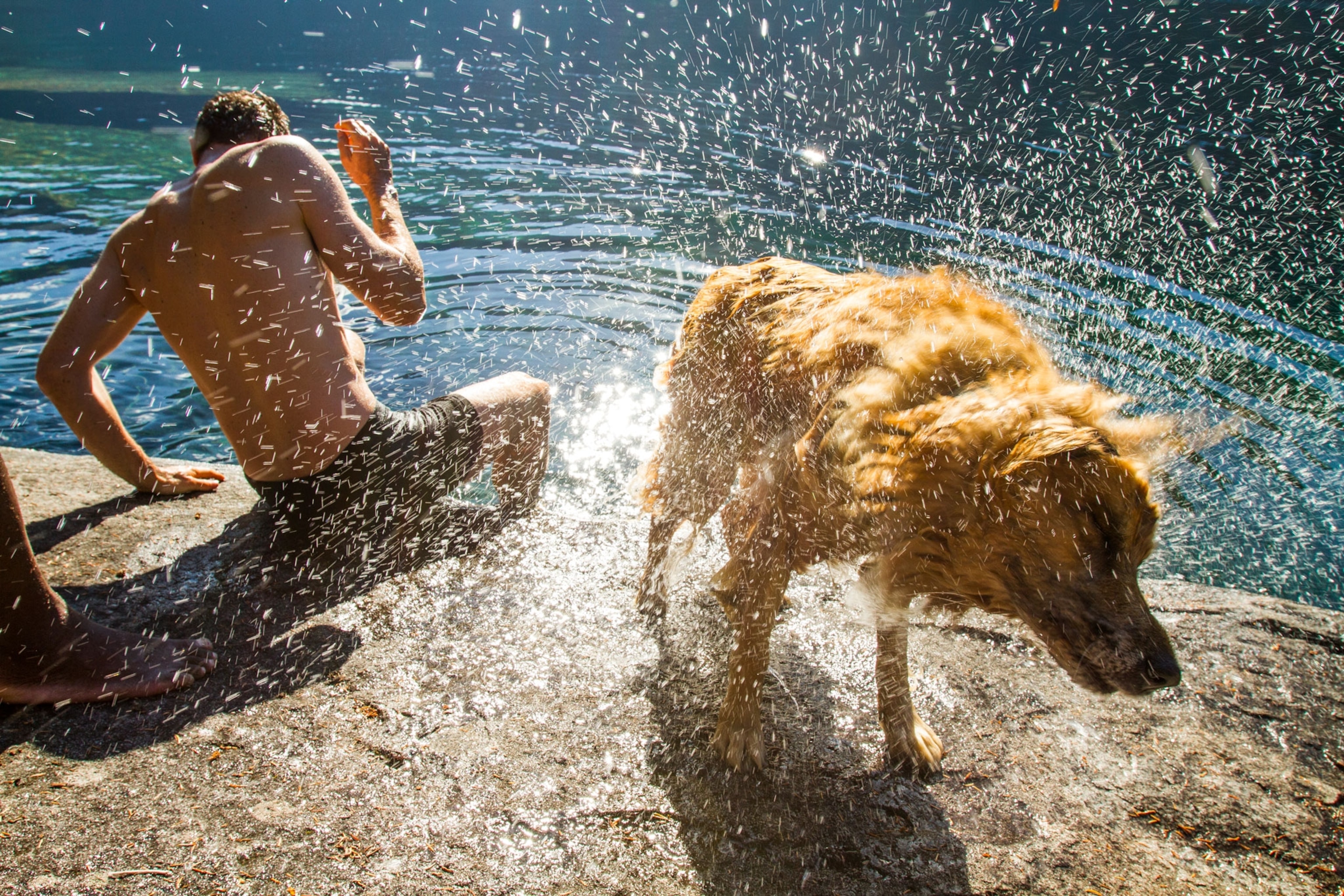 Man dodges the wet shake of his dog at lake's edge.