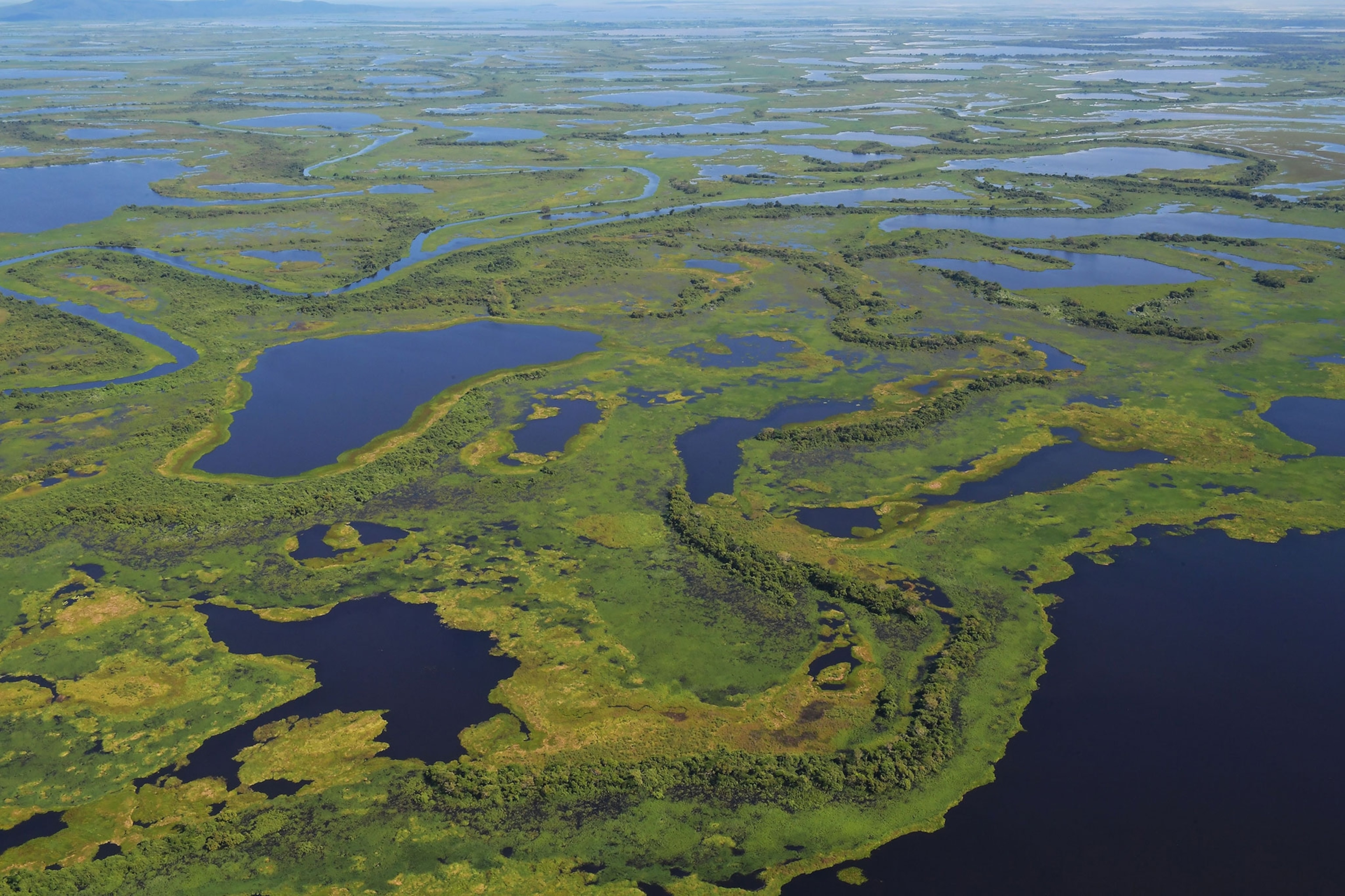 a view of the Pantanal wetlands, in Mato Grosso state, Brazil