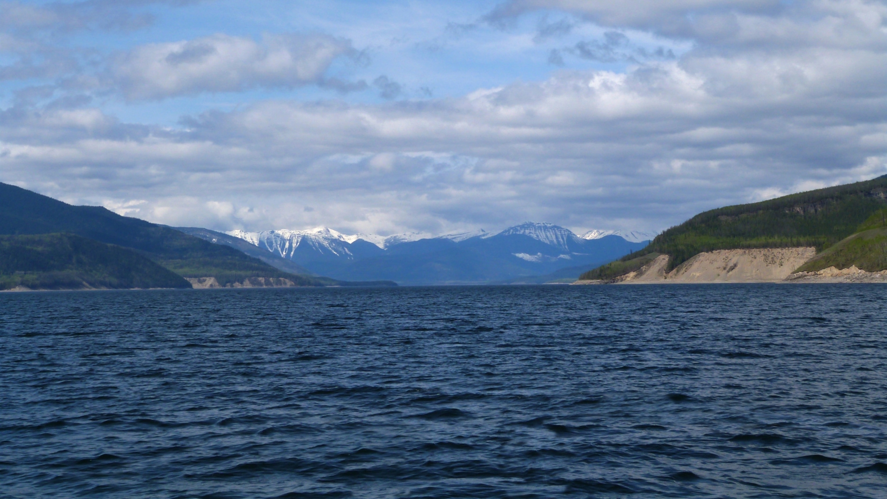 Canada Has a New Forested Floating Island. Scientists Think It Used to Have Many More.