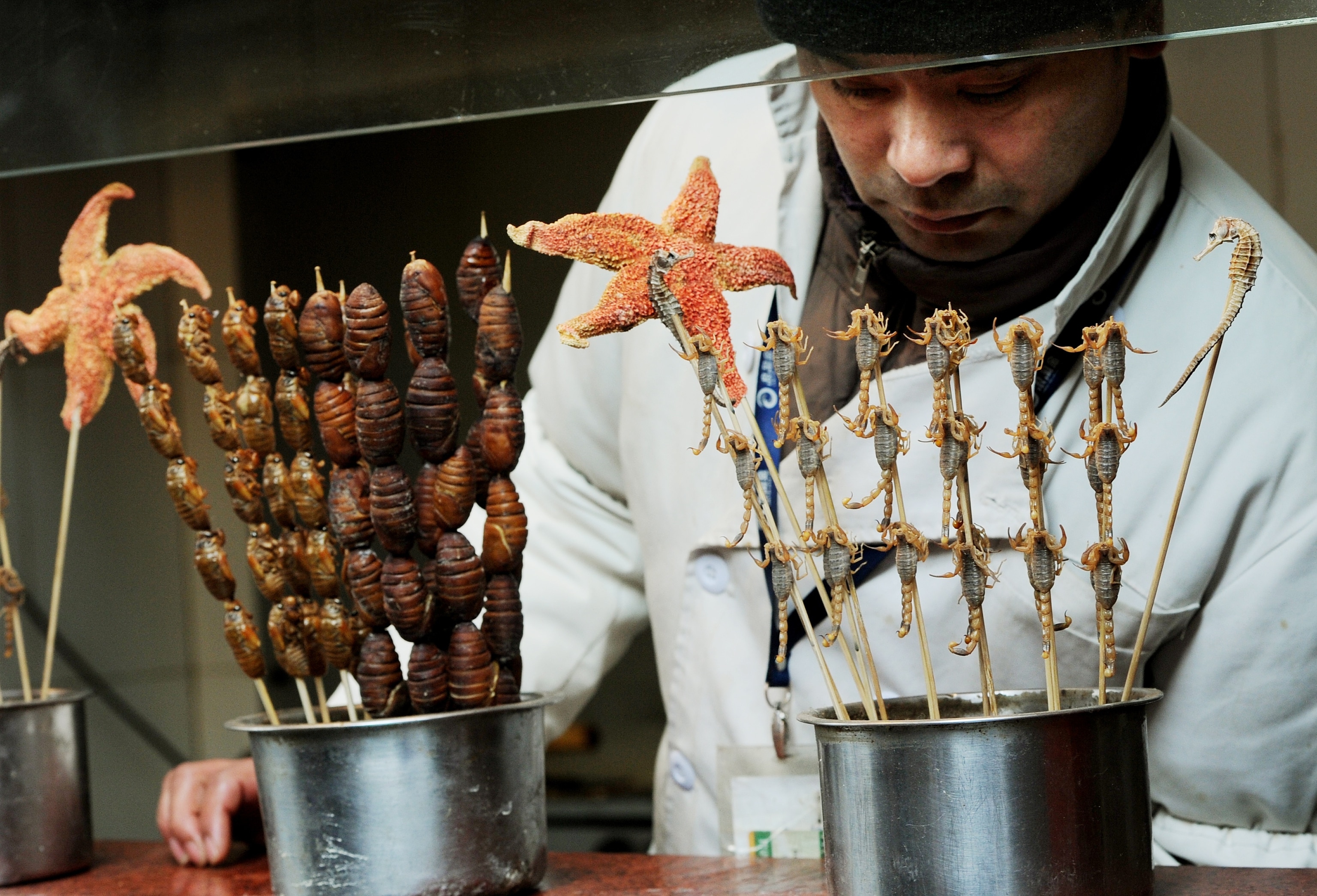 Hawker sells edible bugs