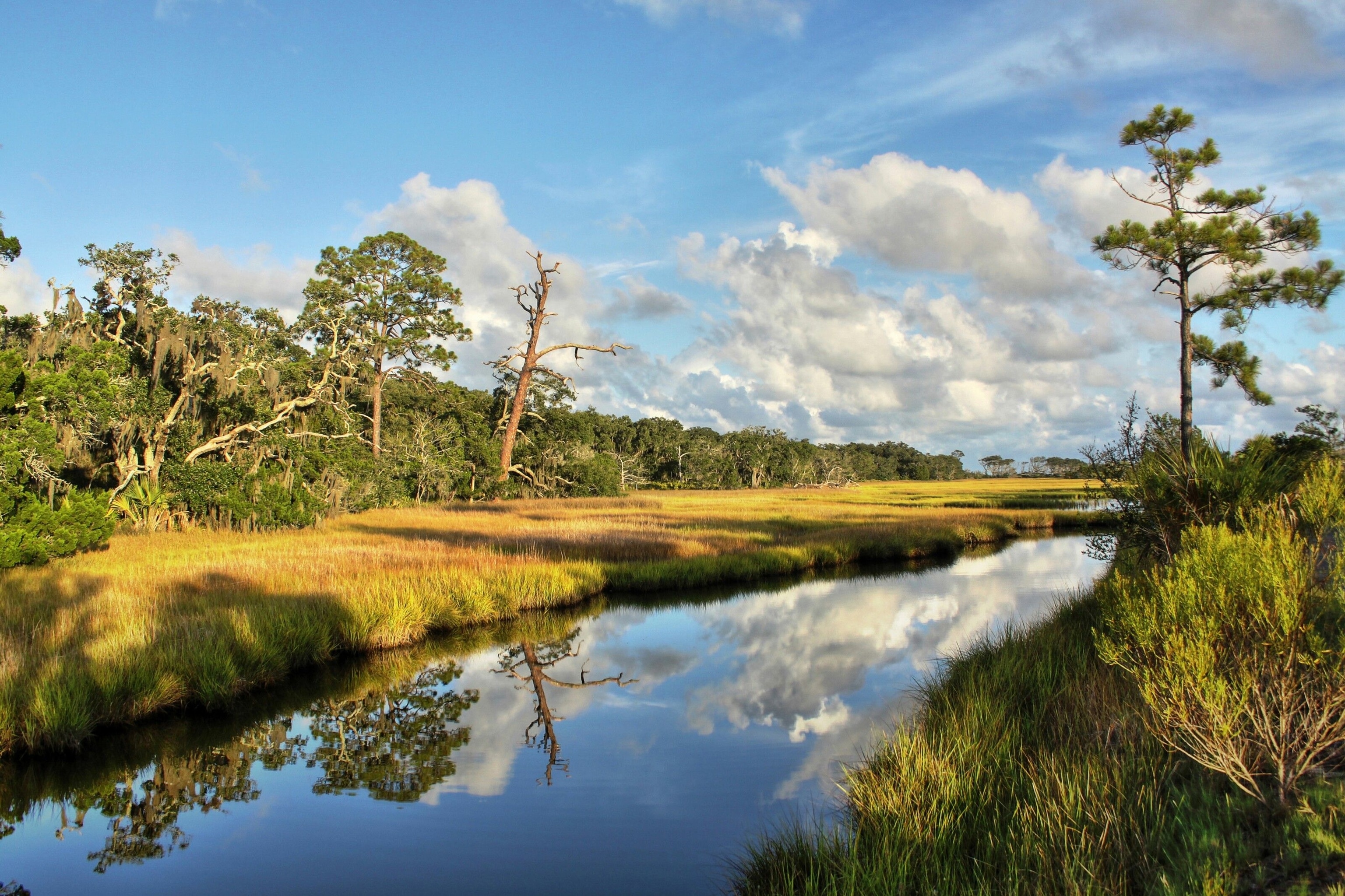 Salt marsh at Clam Creek, Jekyll Island.