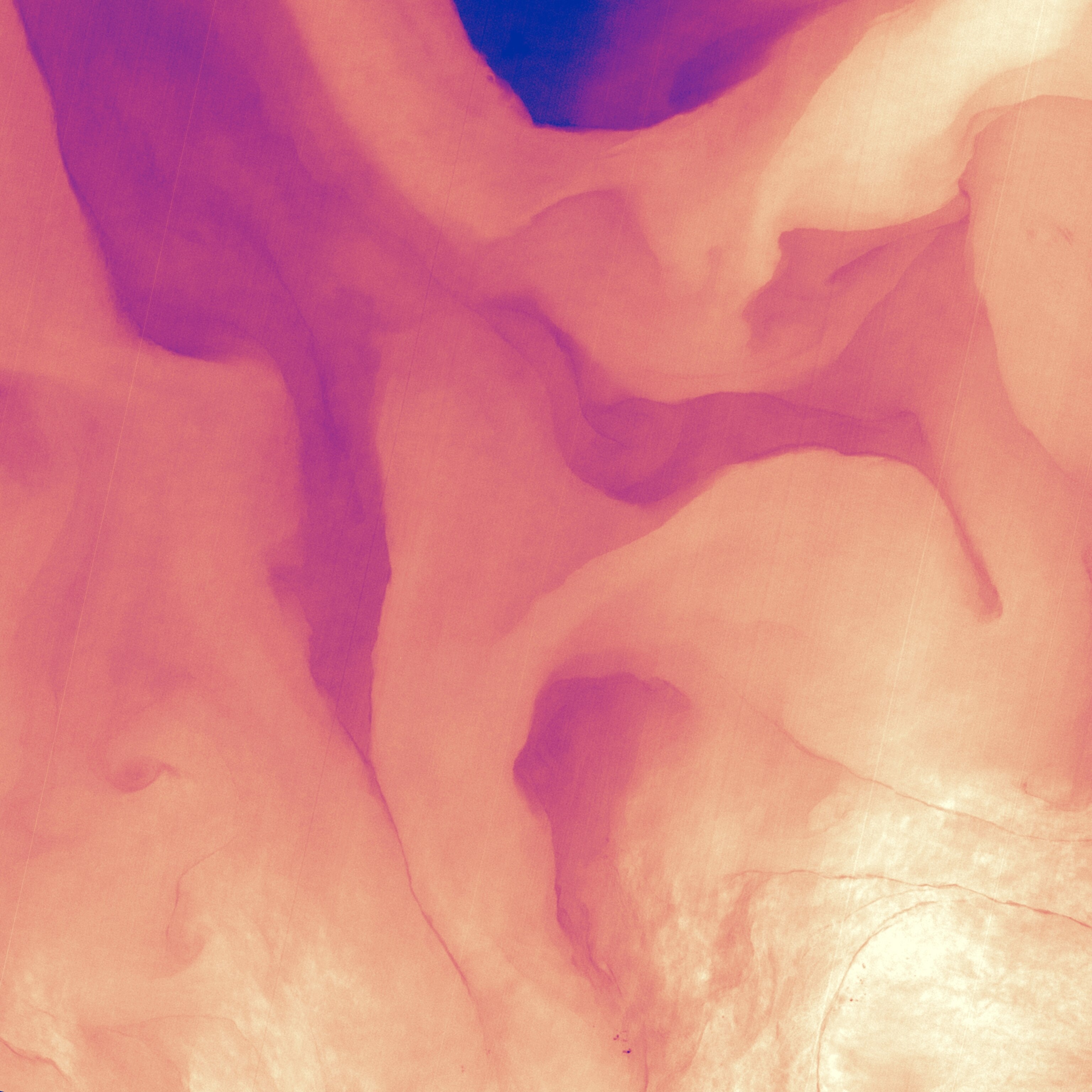 This image shows a small portion of the Gulf Stream as it appears in infrared imagery