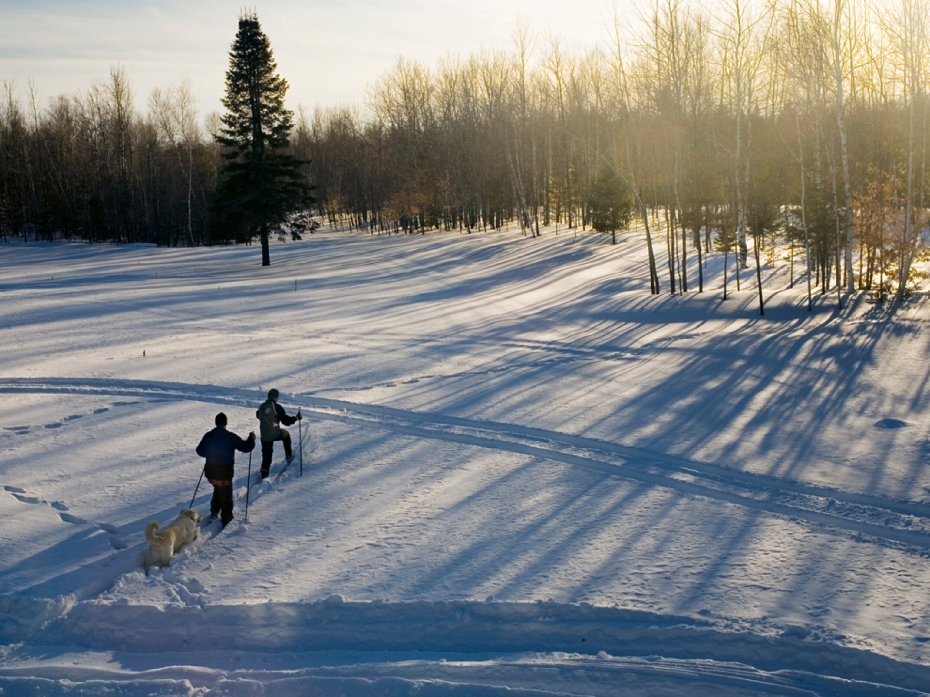 two people cross country skiing with dog