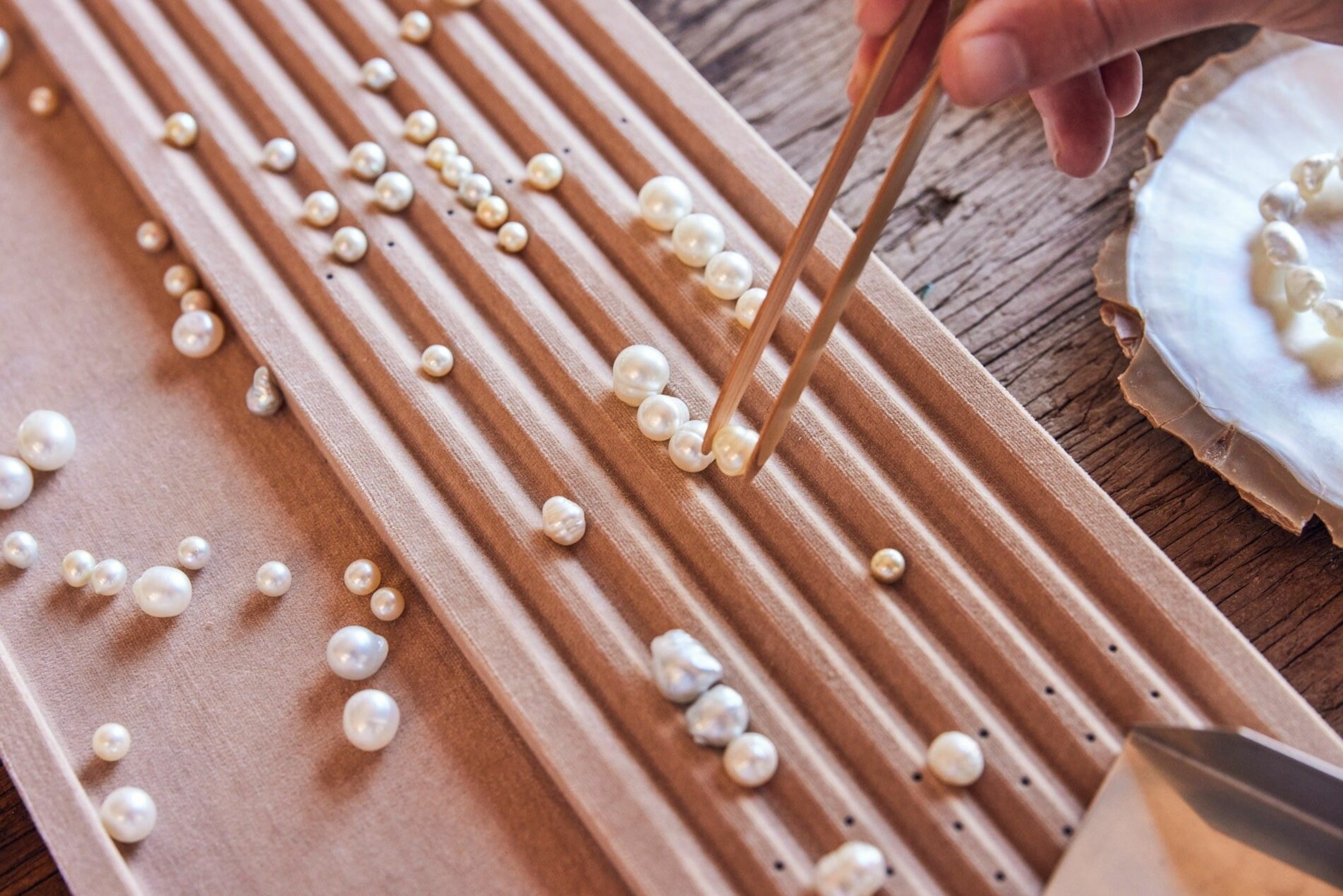 Pearls on display at the Broken Bay Farm Shellar Door, Mooney Mooney.