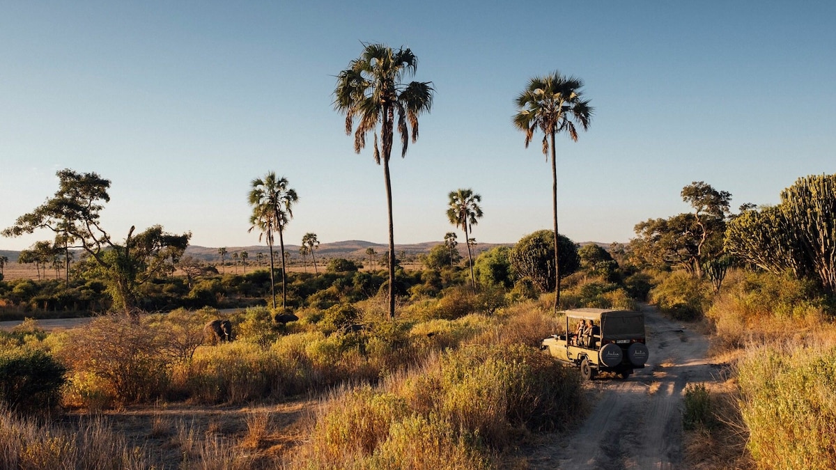 On safari in Ruaha National Park, Tanzania's next big wildlife destination | National Geographic