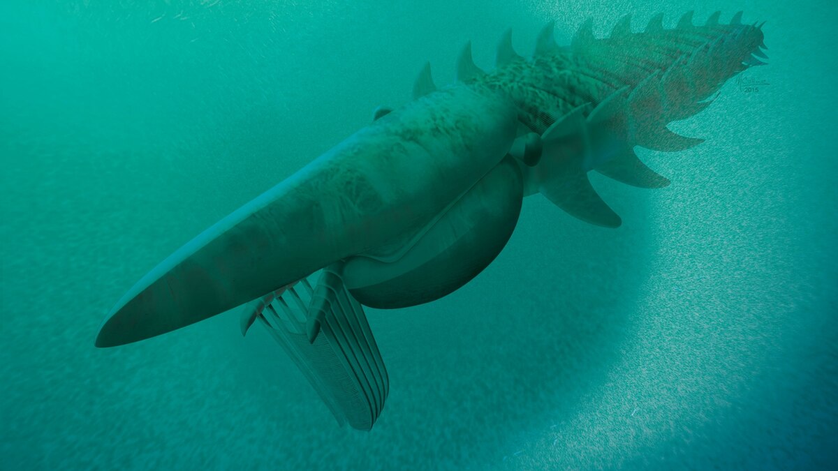 Strange Fossil Filter Feeder Was an Ancient Survivor