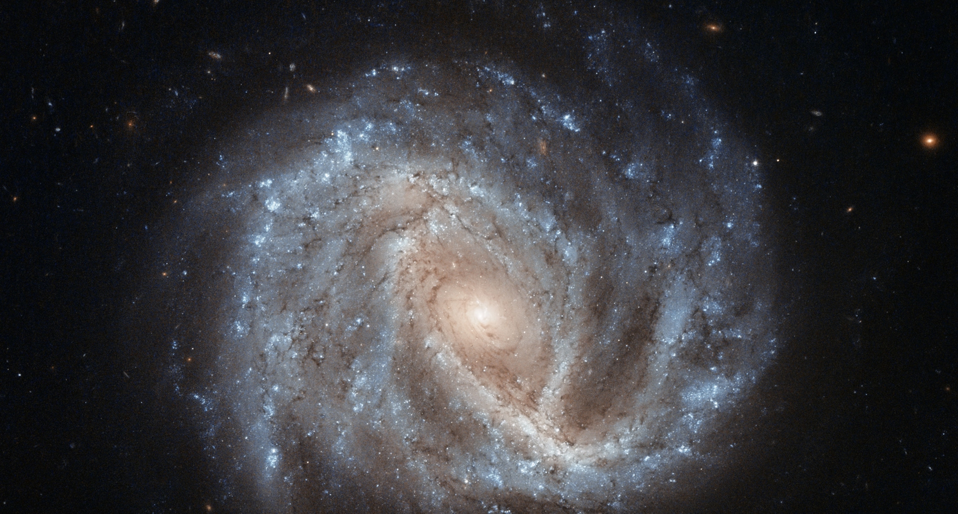 This bright spiral galaxy is known as NGC 2441, located in the northern constellation of Camelopardalis (The Giraffe).