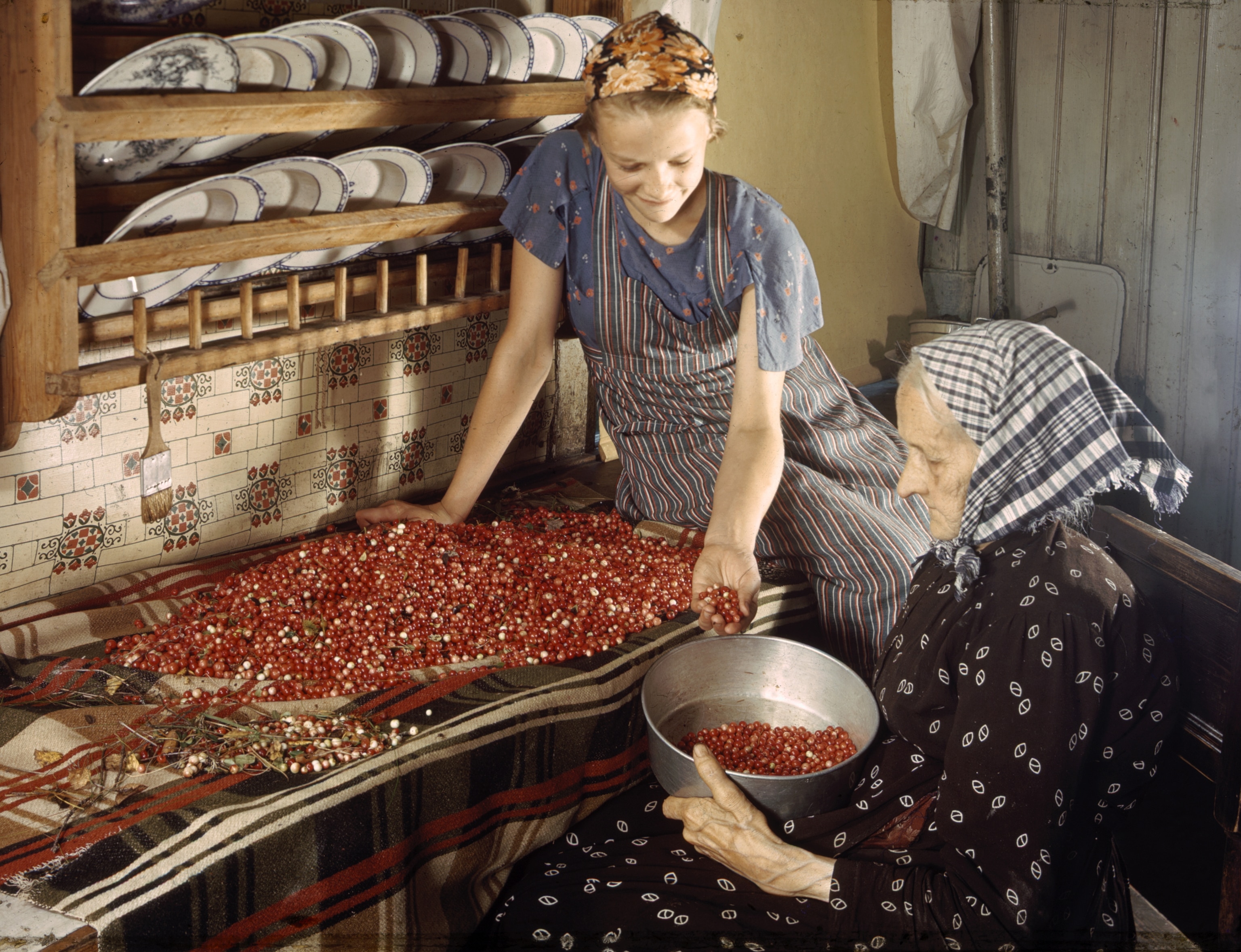 two women making cranberry jelly