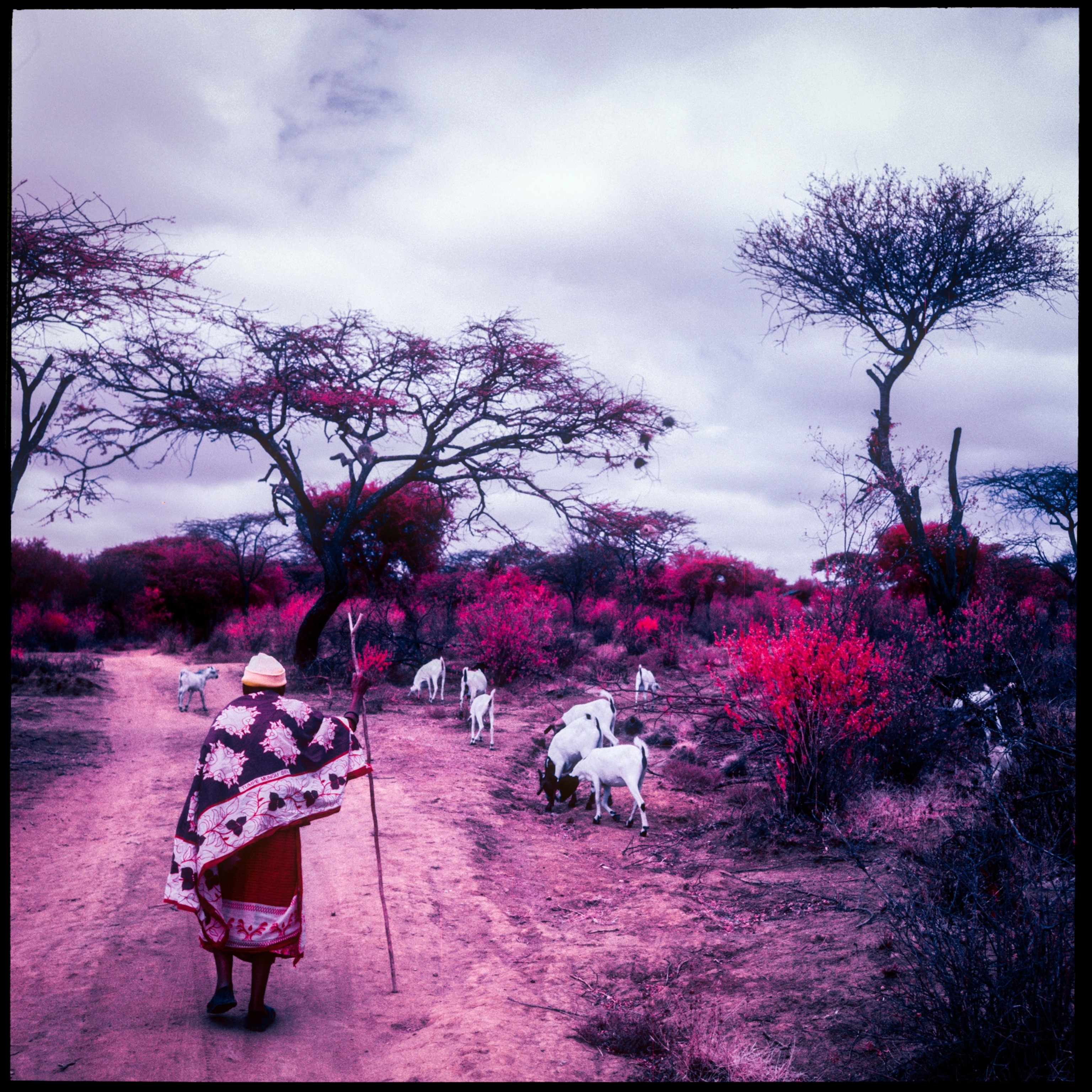 person walking on road in nugumbulu kenya