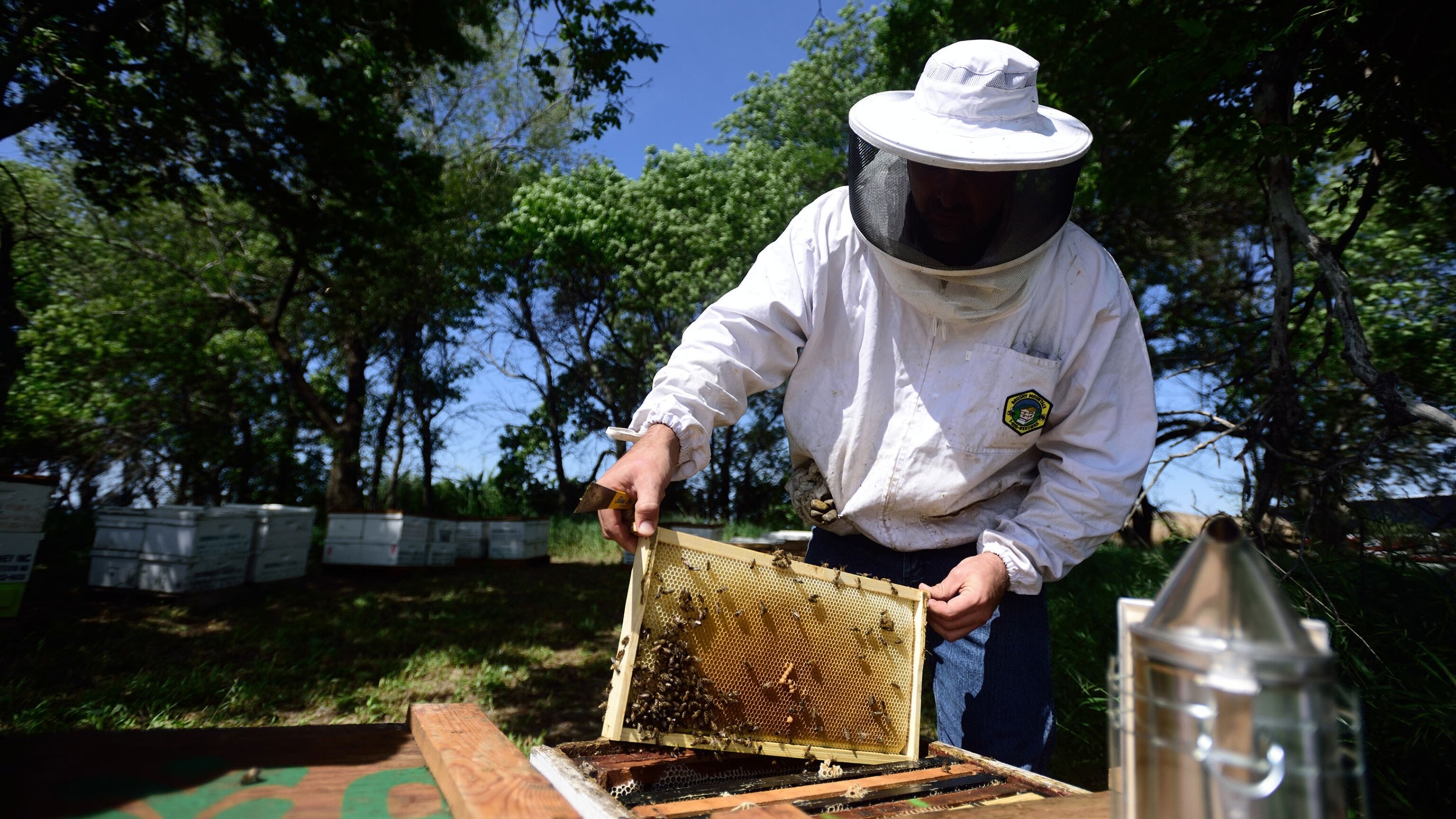 Beekeepers are struggling to keep up with farms' pollination needs